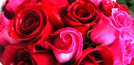 Wedding Flowers - Roses